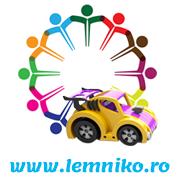 Asociatia Lemniko - Fabrica de jucarii din lemn - Wooden Toy Factory