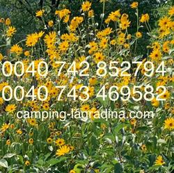 Camping La Gradina