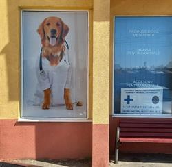 Optim veterinaria - urgenţe veterinare non stop