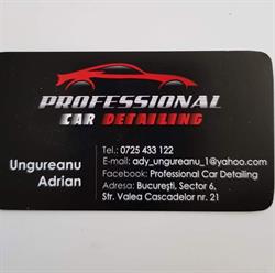 Professional Car Detailing