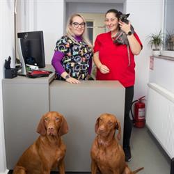Ariciul Vet Center
