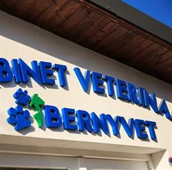 Bernyvet
