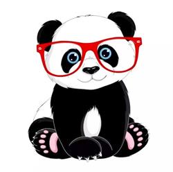 Panda Cool Optic