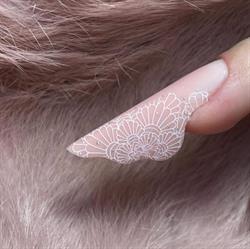 Camelia Suhastru Nails&Beauty