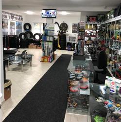 Accesorii si piese auto Babilonia