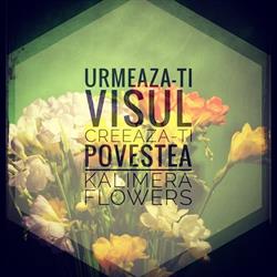 Kalimera Flowers