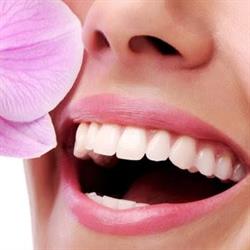 Smile Care Clinic