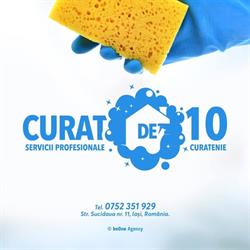 Curatenie de 10