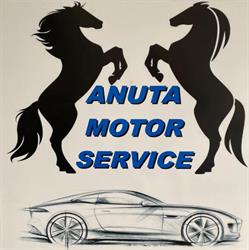 Anuta Motor Service s.r.l - Vulcanizare auto