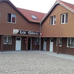 Casute De Vacanta La Gicu