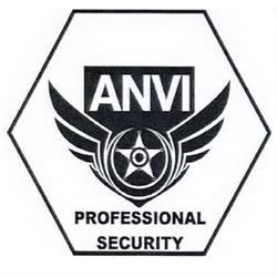 ANVI PROFESSIONAL SECURITY SRL