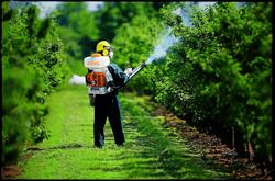 PestControl