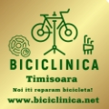 Service Reparatii pana roti de biciclete in Timisoara service mecanic biciclete vulcanizare roata roti bicicleta