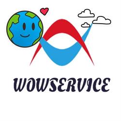 WOWSERVICE - Professional IT Services