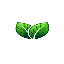 Green Webpage