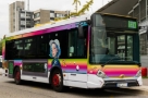 permis de conducere autobuz categoria D  scoala de soferi Todea Turda Cabriolet