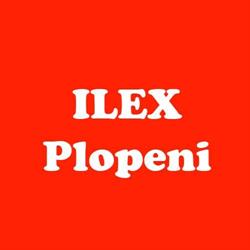 Ilex Plopeni - Prahova