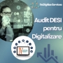 Audit DESI