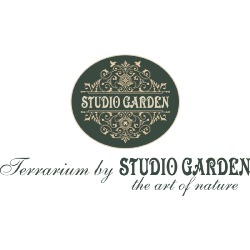 Studio Garden - Amenajari Gradini