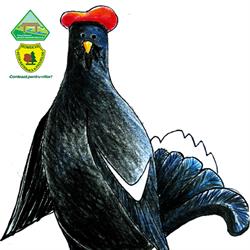 Parcul Natural Munţii Maramureşului