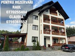 Casa Maramureşană - Vişeu de Sus