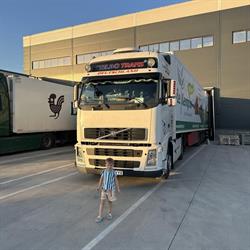 STELBO TRANS SRL