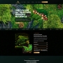 Proiect Website anagadecor.es