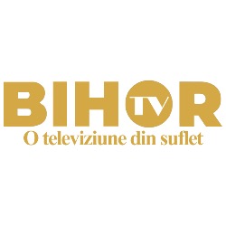 ARDELEAN PRODUCTION MEDIA SRL