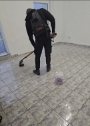 curatenie 6