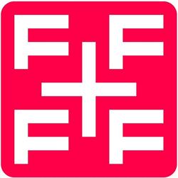 Fundatia Friends for Friends
