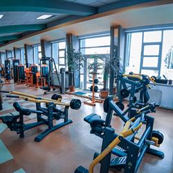 VipSanGym