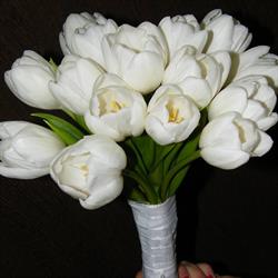 Floraria Bolo Rey