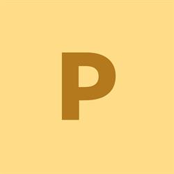 Paladium COM SRL