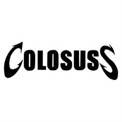 Colosuss Net Cafe