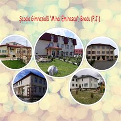 Scoala Gimnazială 'Mihai Eminescu', Bradu, Argeş