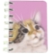 25 Pisica carnet