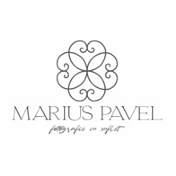 anima media pavel srl