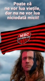 Mici Burger Club Braveheart