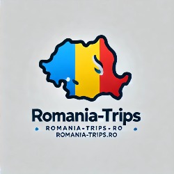 Transfer Aeroport Otopeni  Drive Connect Solutions