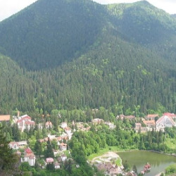 MOLNAR TUR TUSNAD  SRL