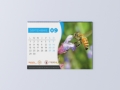 Calendar Anual de Birou Apicola Bucuresti