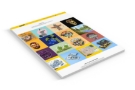 Website Design Illustrescu Graphic Designer