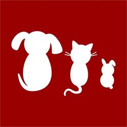 Clinica Veterinară Dr. Bunea