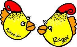 Avicola Raggi