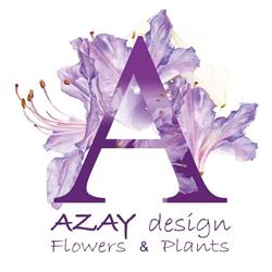 AZAY