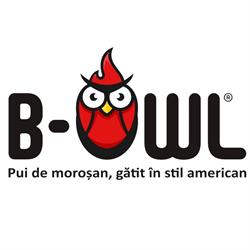 B-Owl Baia Mare