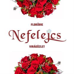 Florăria Nefelejcs Virágüzlet