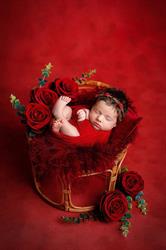 Marius Niculae Photography