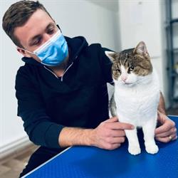 Signix VET - Cabinet şi farmacie veterinară