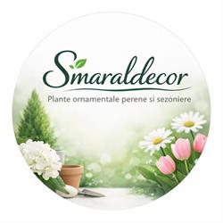 Smaraldecor